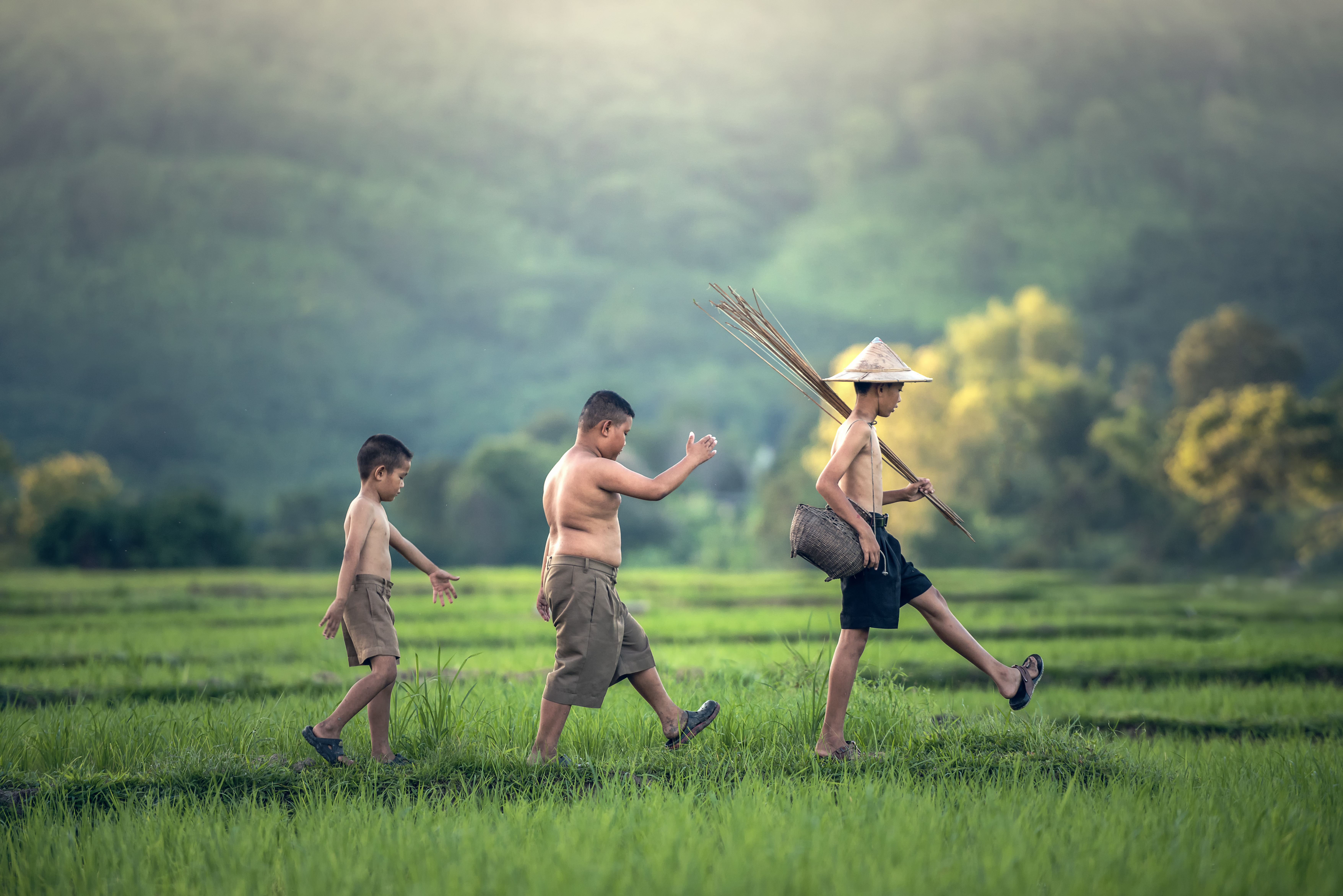 Laos Highlights itinerary role