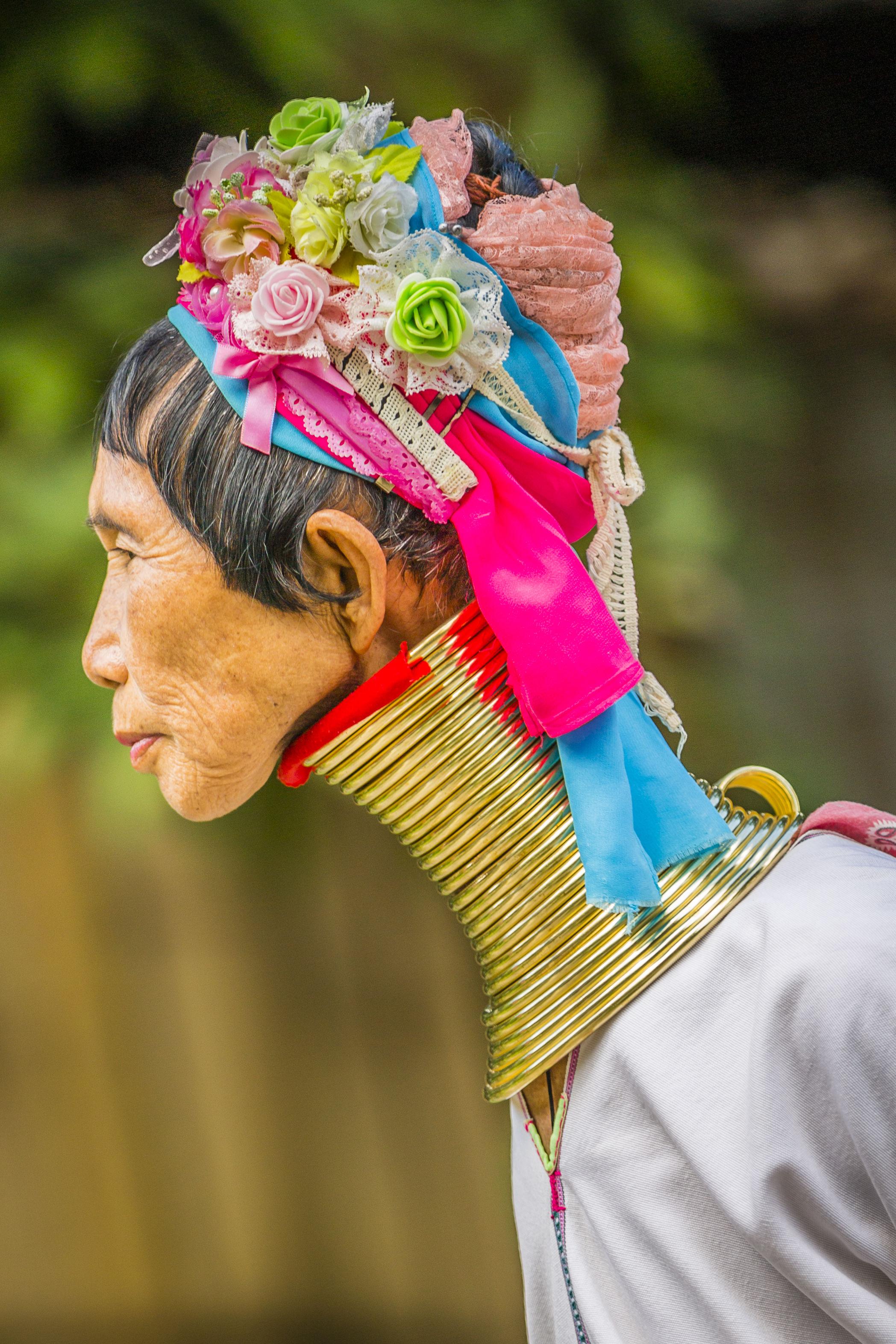 Estensioni Chiang Mai